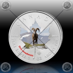 1oz KANADA $5 Maple Leaf 2014 "GAMS" BARVNI